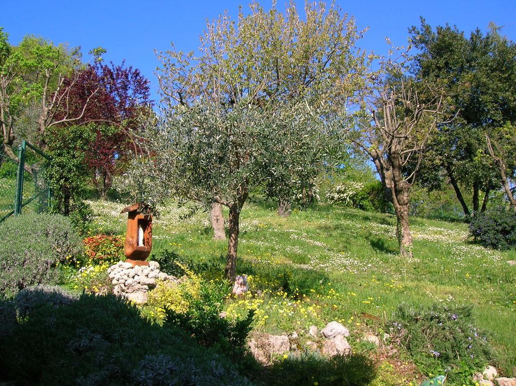 Arcugnano B&B Il Suono Del Bosco מראה חיצוני תמונה