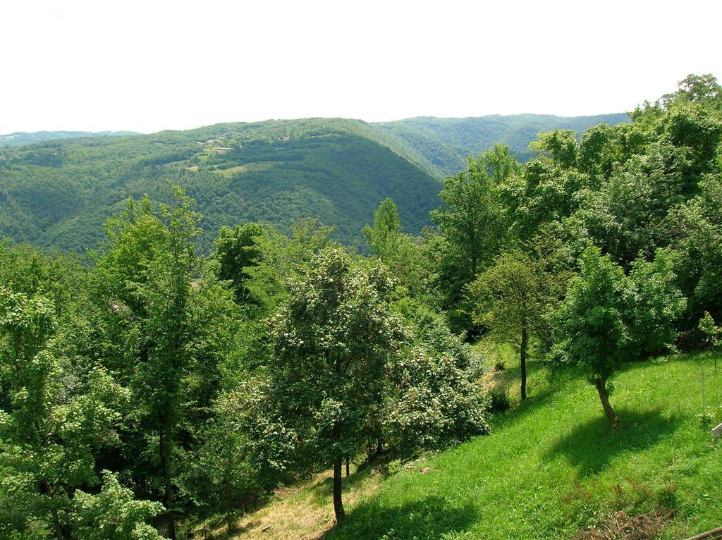 Arcugnano B&B Il Suono Del Bosco מראה חיצוני תמונה