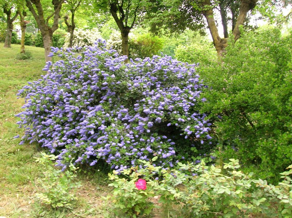 Arcugnano B&B Il Suono Del Bosco מראה חיצוני תמונה