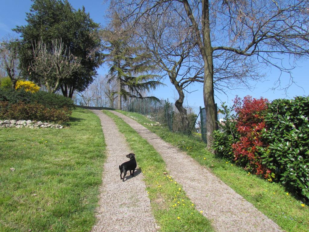 Arcugnano B&B Il Suono Del Bosco מראה חיצוני תמונה